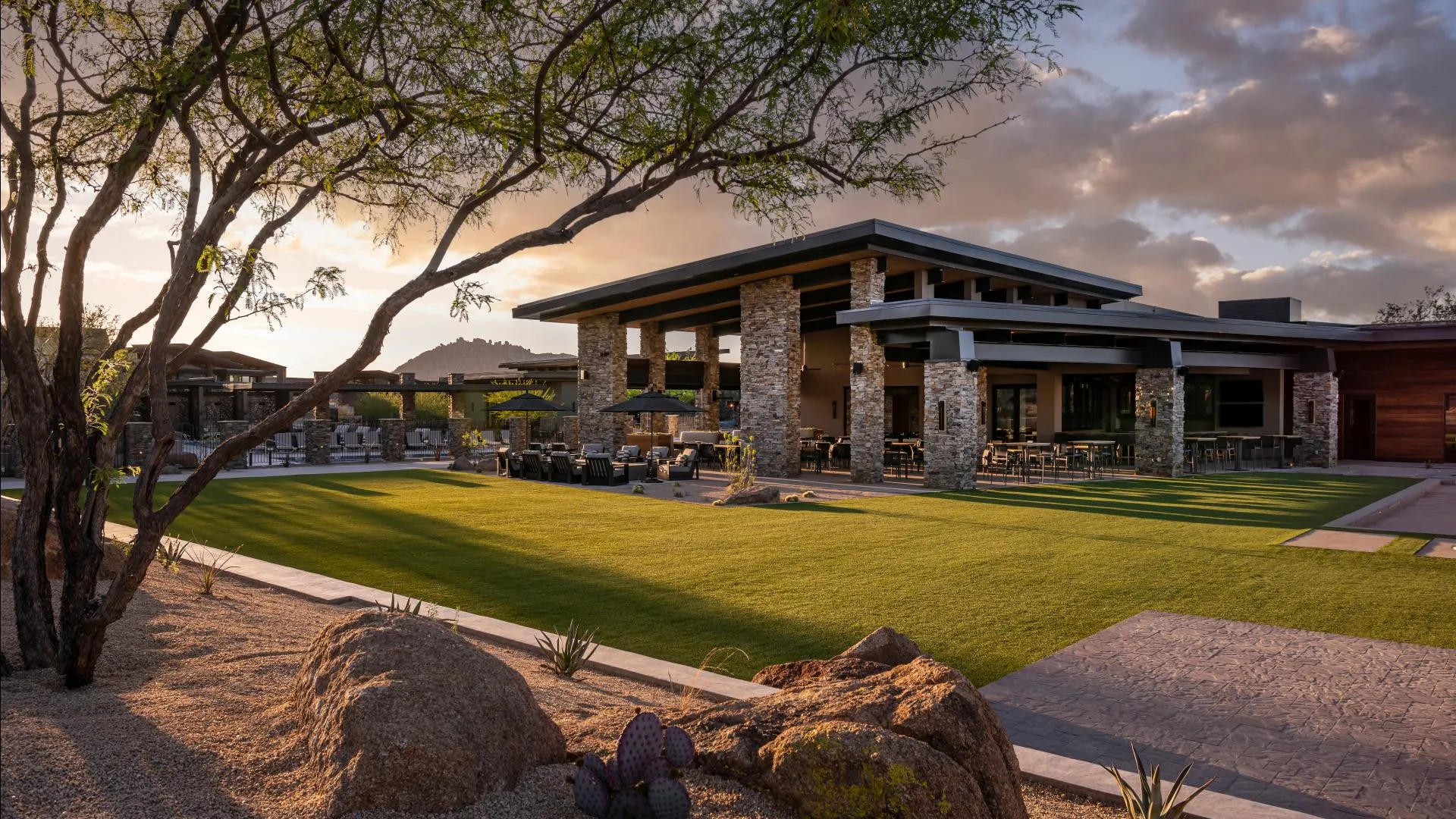 The Lodge lawn at sunset, framed by a palo verde tree