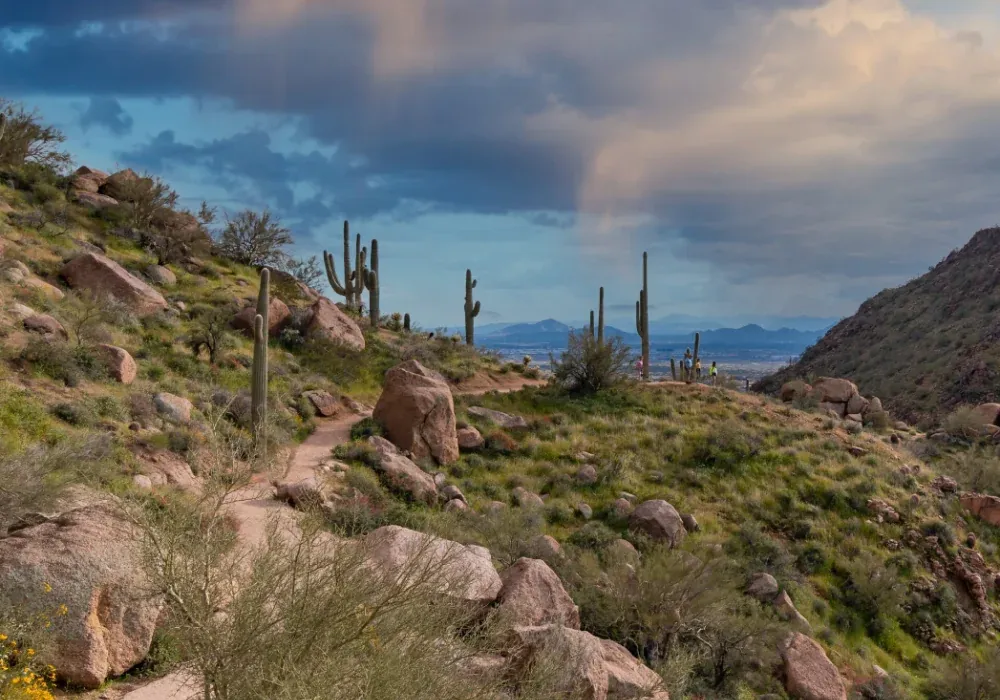 A trail through boulders and saguaros above Scottsdale
